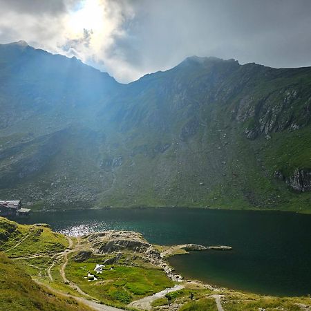 דירות Cîrţişoara Casa Oaspeti Transfagarasan מראה חיצוני תמונה