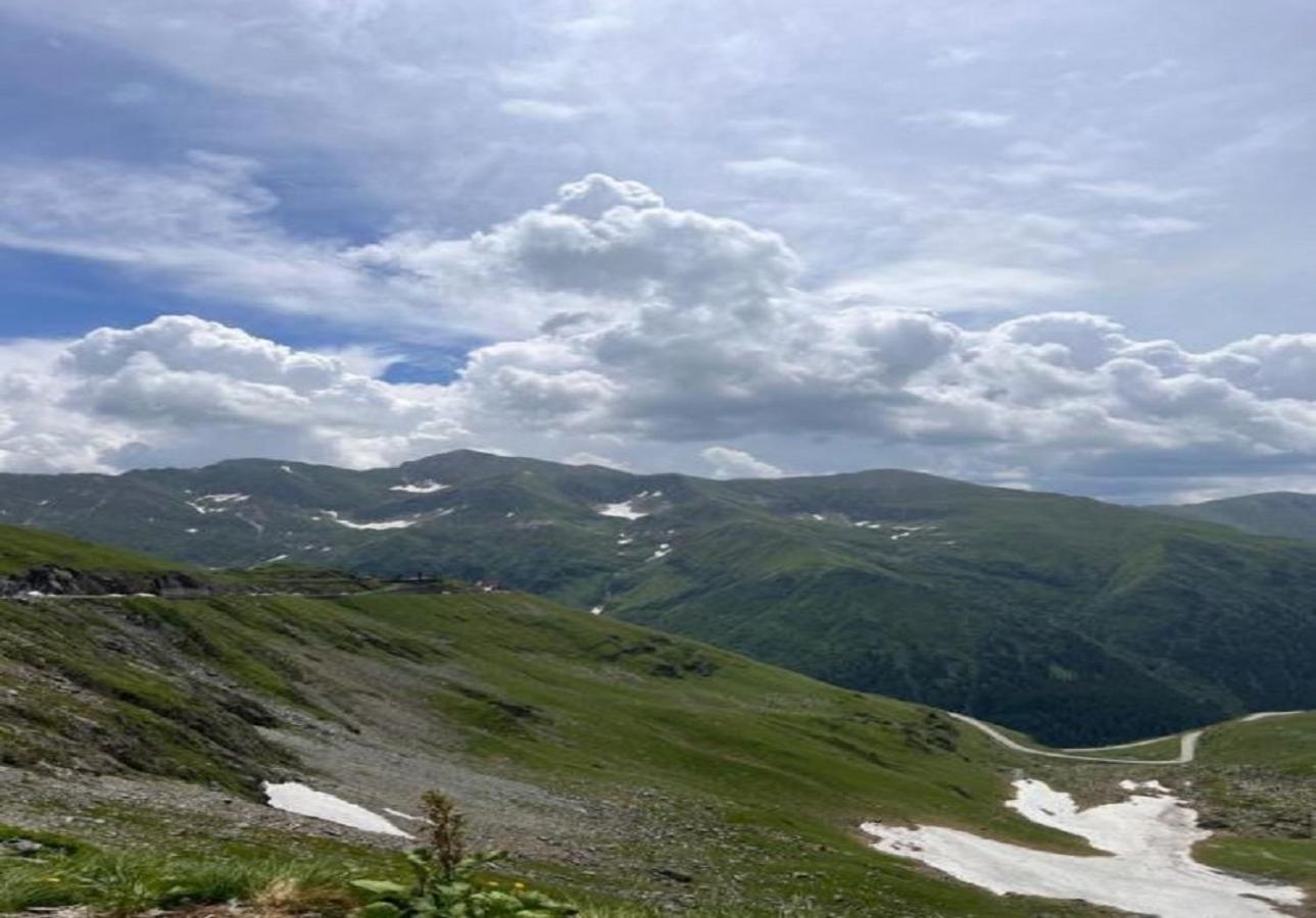 דירות Cîrţişoara Casa Oaspeti Transfagarasan מראה חיצוני תמונה