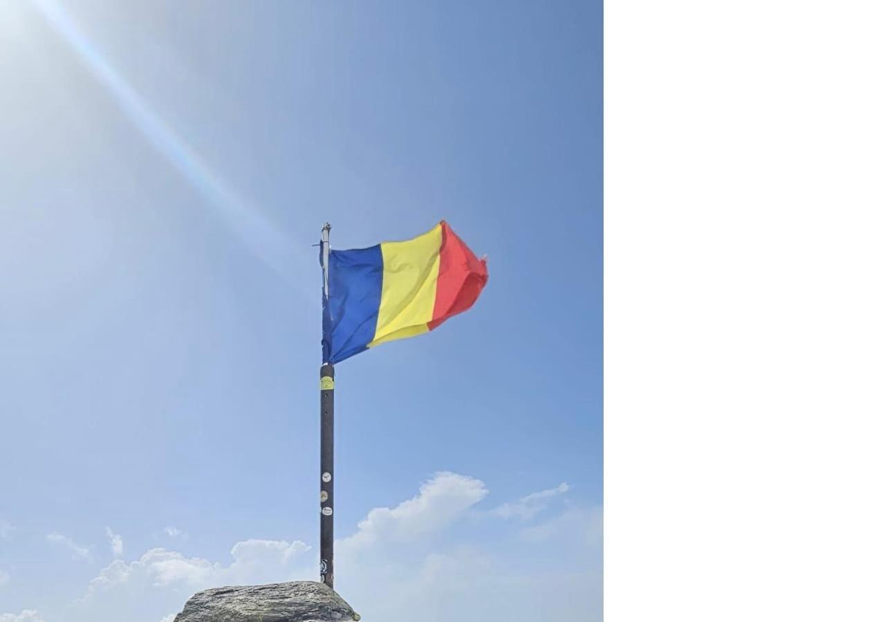 דירות Cîrţişoara Casa Oaspeti Transfagarasan מראה חיצוני תמונה